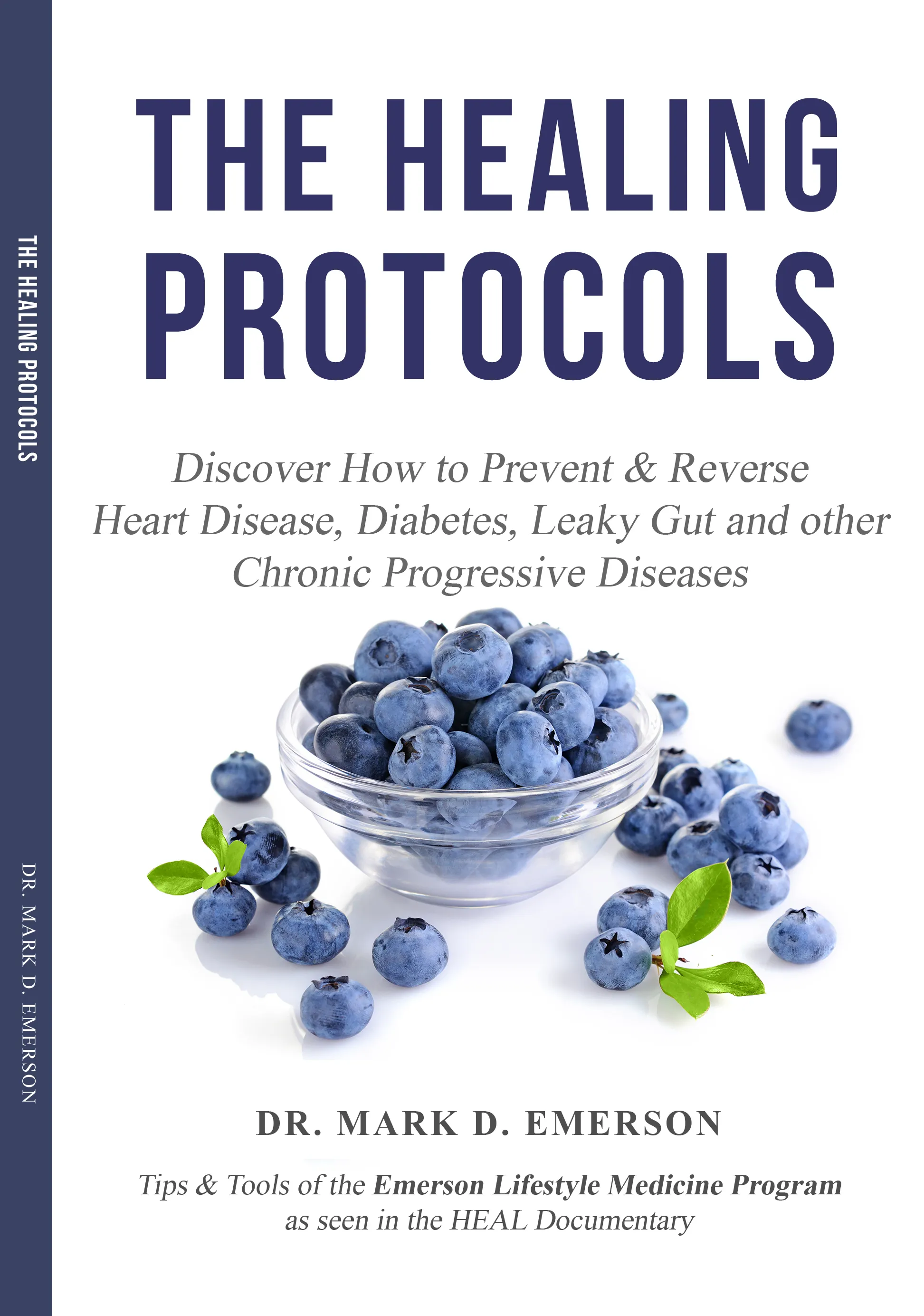 The Healing Protocols book